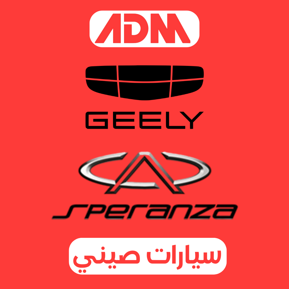 صيني